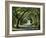 Favorite Path-Bruce Nawrocke-Framed Art Print