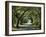 Favorite Path-Bruce Nawrocke-Framed Art Print