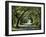 Favorite Path-Bruce Nawrocke-Framed Art Print