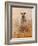 Favourite Ewe-Lincoln Seligman-Framed Giclee Print