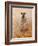 Favourite Ewe-Lincoln Seligman-Framed Giclee Print