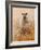 Favourite Ewe-Lincoln Seligman-Framed Giclee Print