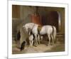 Favourites, the Property of H.R.H. Prince George of Cambridge-Edwin Landseer-Mounted Premium Giclee Print