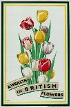 A Wealth in British Flowers, from the Series 'British Bulbs for Home Gardens'-Fawkes-Mounted Giclee Print