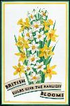 A Wealth in British Flowers, from the Series 'British Bulbs for Home Gardens'-Fawkes-Framed Giclee Print