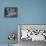 Fawn 2-Gordon Semmens-Framed Premier Image Canvas displayed on a wall