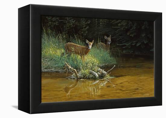 Fawn Brook-Michael Budden-Framed Premier Image Canvas