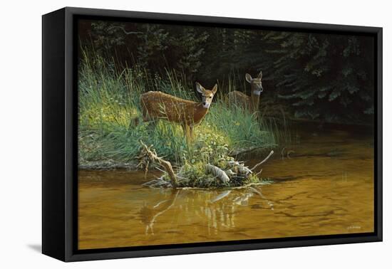 Fawn Brook-Michael Budden-Framed Premier Image Canvas