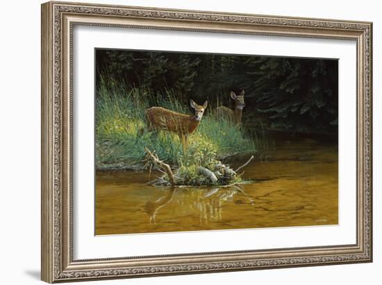 Fawn Brook-Michael Budden-Framed Giclee Print