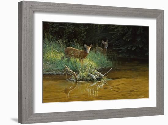 Fawn Brook-Michael Budden-Framed Giclee Print