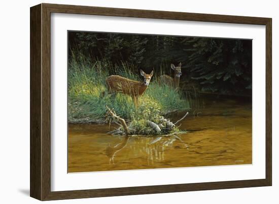 Fawn Brook-Michael Budden-Framed Giclee Print