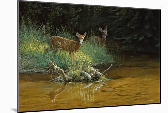 Fawn Brook-Michael Budden-Mounted Giclee Print