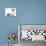 Fawn Dutch Rabbit with Sleeping Sable-And-White Border Collie Pup-Jane Burton-Photographic Print displayed on a wall