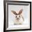 Fawn English-Spotted Rabbit, Female-Jane Burton-Framed Photographic Print