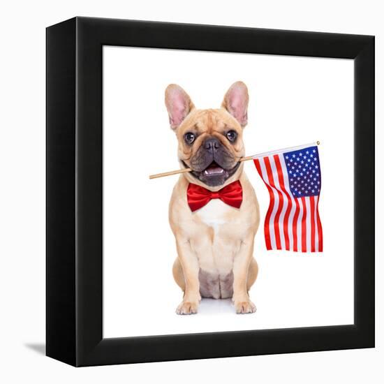 Fawn French Bulldog-Javier Brosch-Framed Premier Image Canvas