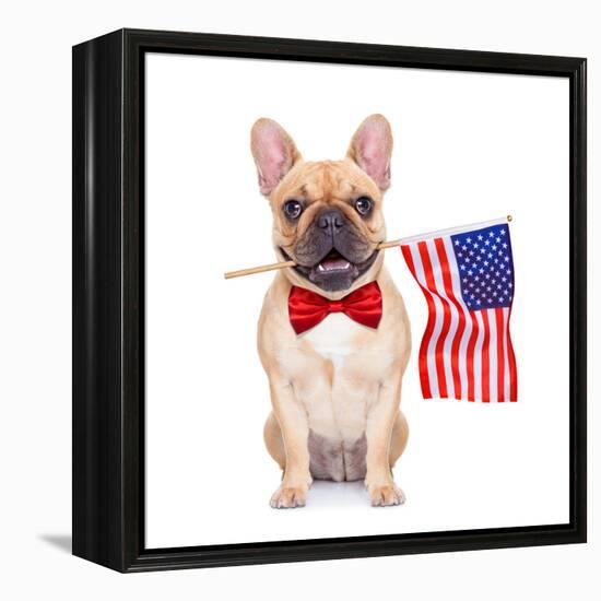 Fawn French Bulldog-Javier Brosch-Framed Premier Image Canvas