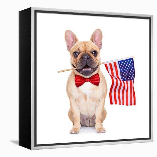 Fawn French Bulldog-Javier Brosch-Framed Premier Image Canvas