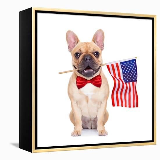 Fawn French Bulldog-Javier Brosch-Framed Premier Image Canvas