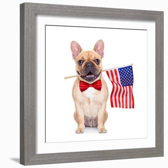 Fawn French Bulldog-Javier Brosch-Framed Photographic Print