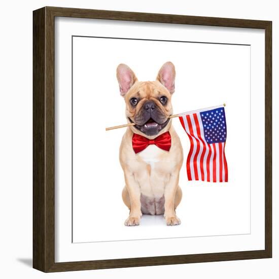 Fawn French Bulldog-Javier Brosch-Framed Photographic Print