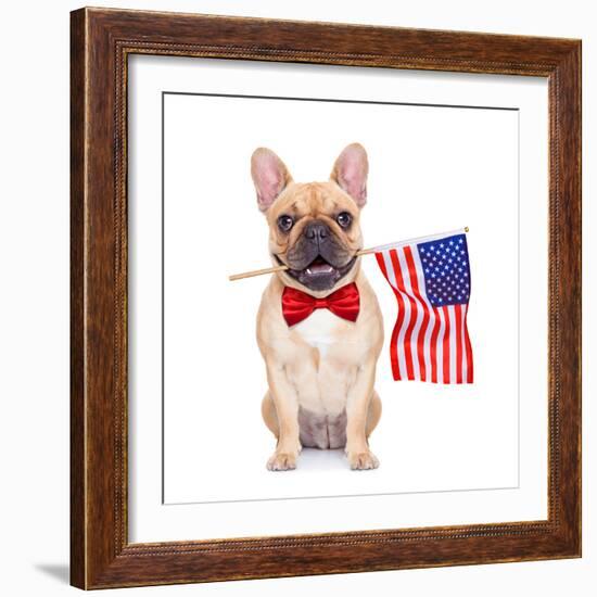 Fawn French Bulldog-Javier Brosch-Framed Photographic Print