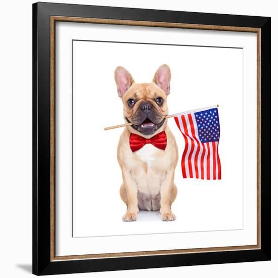 Fawn French Bulldog-Javier Brosch-Framed Photographic Print