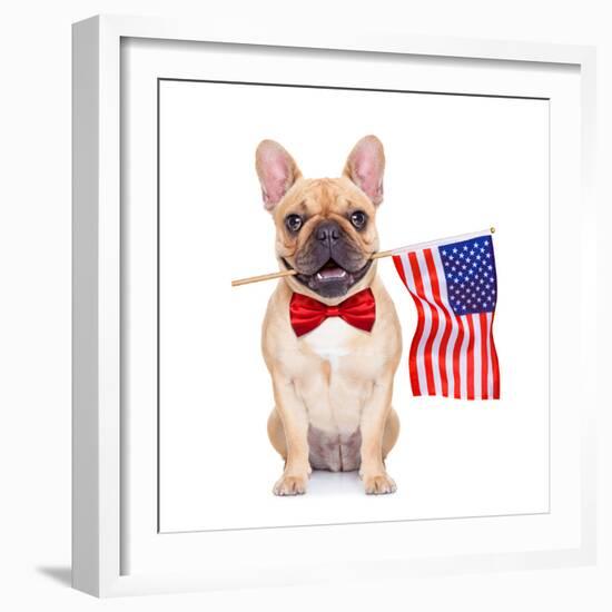 Fawn French Bulldog-Javier Brosch-Framed Photographic Print