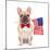 Fawn French Bulldog-Javier Brosch-Mounted Photographic Print