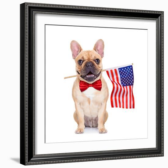 Fawn French Bulldog-Javier Brosch-Framed Photographic Print