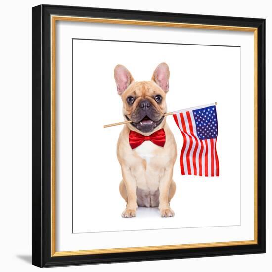 Fawn French Bulldog-Javier Brosch-Framed Photographic Print