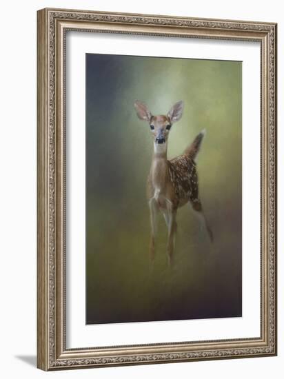 Fawn in the Forest-Jai Johnson-Framed Giclee Print