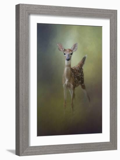 Fawn in the Forest-Jai Johnson-Framed Giclee Print