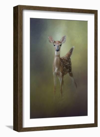 Fawn in the Forest-Jai Johnson-Framed Giclee Print