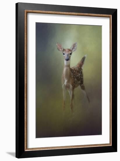 Fawn in the Forest-Jai Johnson-Framed Giclee Print