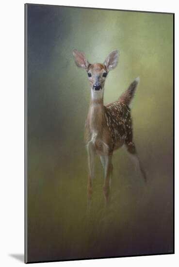 Fawn in the Forest-Jai Johnson-Mounted Giclee Print