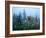 Fawn Memories-Gordon Semmens-Framed Giclee Print