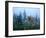 Fawn Memories-Gordon Semmens-Framed Giclee Print