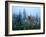 Fawn Memories-Gordon Semmens-Framed Giclee Print