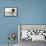 Fawn Pug Puppy, 8 Weeks, and Birman-Cross Kitten-Mark Taylor-Framed Premier Image Canvas displayed on a wall