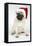 Fawn Pug Wearing Christmas Hat-null-Framed Premier Image Canvas