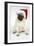 Fawn Pug Wearing Christmas Hat-null-Framed Photographic Print