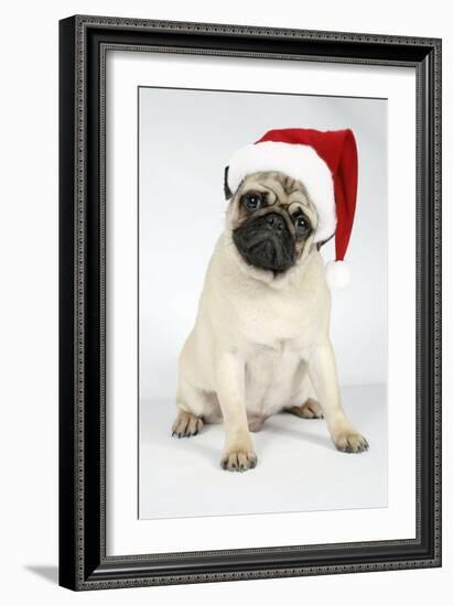 Fawn Pug Wearing Christmas Hat-null-Framed Photographic Print