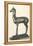 Fawn Sculpture from Herculaneum-null-Framed Stretched Canvas