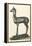 Fawn Sculpture from Herculaneum-null-Framed Stretched Canvas