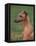 Fawn Whippet Looking Down-Adriano Bacchella-Framed Premier Image Canvas