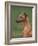 Fawn Whippet Looking Down-Adriano Bacchella-Framed Photographic Print