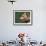 Fawn Whippet Wearing a Collar-Adriano Bacchella-Framed Photographic Print displayed on a wall