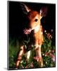 Fawn-null-Mounted Art Print