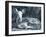 Fawn-Gordon Semmens-Framed Photographic Print