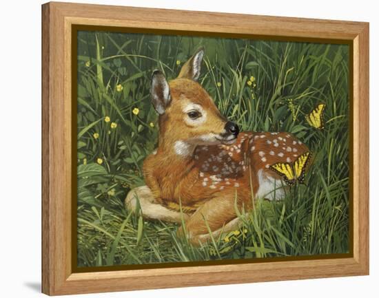 Fawn-William Vanderdasson-Framed Premier Image Canvas